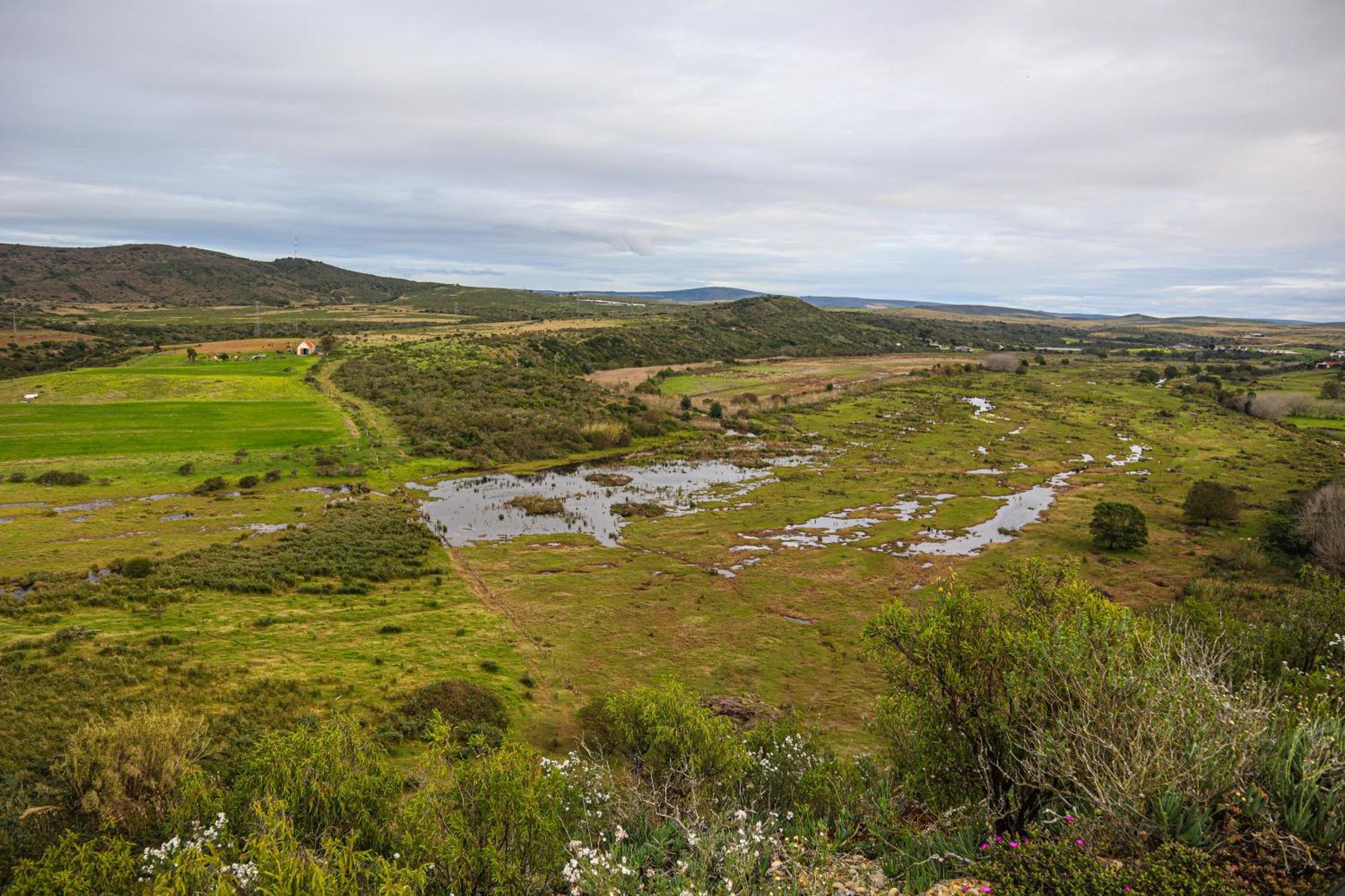 Outeniquabosch Lodge Hartenbos Εξωτερικό φωτογραφία